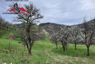 Teren de 1500 mp, în Vințu de Jos - 3