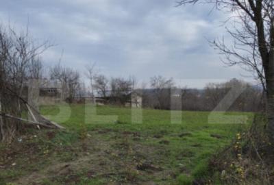 Teren de 3000 mp, în Plopu - 1