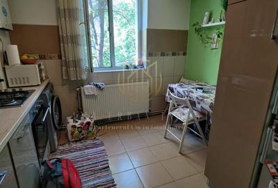 Apartament cu 2 camere semidecomandat, mobilat în Teiul Doamnei - 1