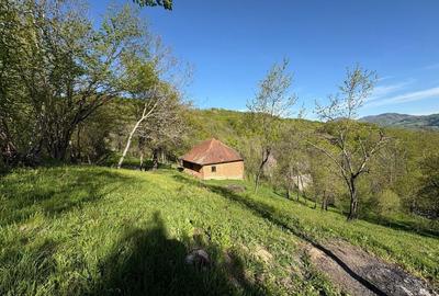 Casă cu 4 camere în Blăjeni - 8