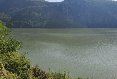 Dubova- 1000mp- C.C Intravilan- Iesire la Dunare 31m - 10