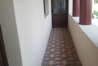 Giurgiu, Comana, Vlad Tepes - 1