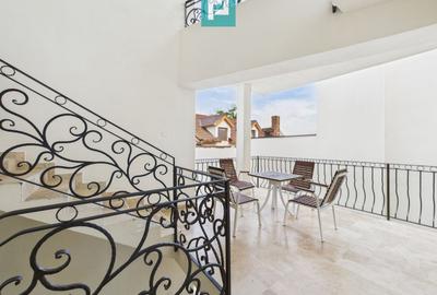 Business complet funcțional, zona Aradul Nou - 12