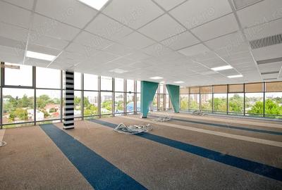 Bulevardul Cosbuc 116-118 - MaxFit - Birouri Premium - 4