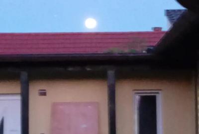 Casa de vanzare Casa de vanzare - 3