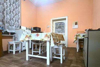 Proprietate cu potential turistic in Gurahont