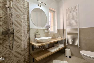 Spațiu comercial, de 735 mp, în Șugag - 13