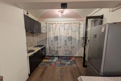 Apartament cu 2 camere semidecomandat, mobilat în Sălaj - 3