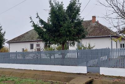 Casă individuală cu 3 camere cu Canalizare în Moftinu Mic - 10