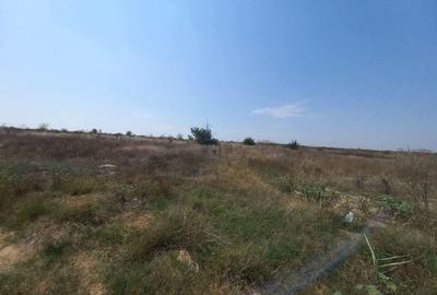 Teren de vanzare in Constanta, Palazu Mare - 667 mp - 2