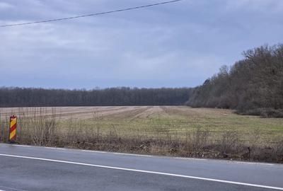 Teren 15000 mp intr. in Scrovistea langa Snagov - 2