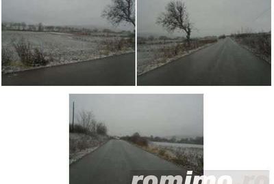 Teren Extravilan Corbita, ID: R1966413 - 1