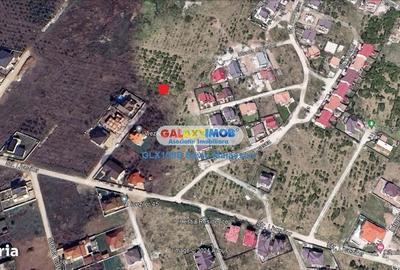 Spațiu comercial, în Mogoșoaia