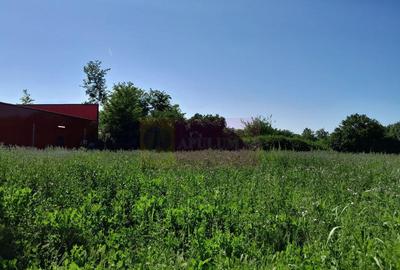 Movilita (IL)-teren de inch. 1800 mp stradal, 30 ml desch... - 7