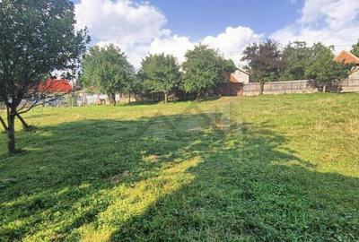 Teren 750mp Bucium - zona Fundacul Paun - 3