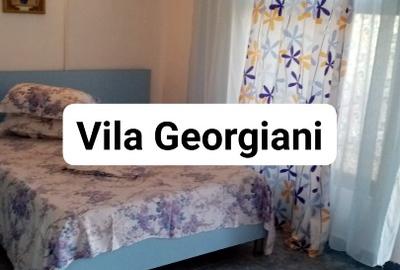 Casă cu 5 camere cu Teren 300 Mp în Central - 3