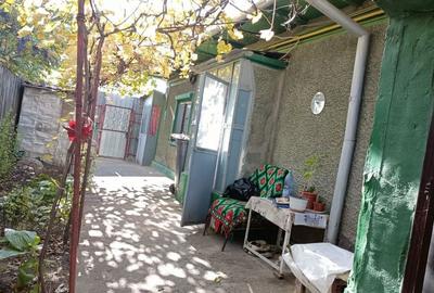 Casă cu 4 camere în Radu Negru - 2