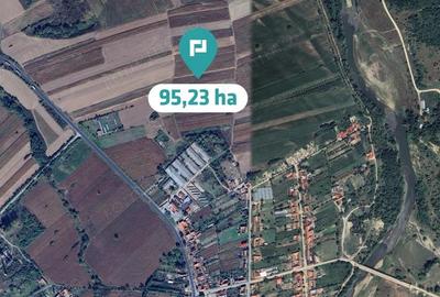 Teren extravilan 95.23 ha langa Caransebe? - 2