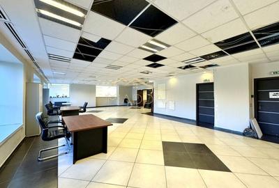 Spatiu comercial stradal *184mp* + curte *260mp* // Grozavesti - 10