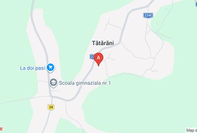 Teren agricol extravilan de 15300 mp, în Tătărăni - 1