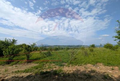 Teren intravilan de vanzare  2.444 mp - Targu Lapus - 2