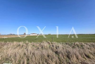 Spațiu comercial, în Giroc - 5