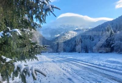 Teren în Central - 1