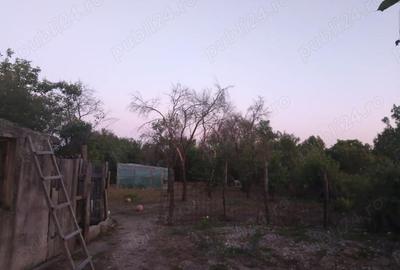 Casă cu Teren 1137 Mp în Călui - 1