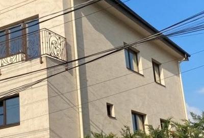 Vila eceptionala de inchiriat - 3