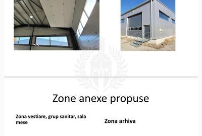 Spațiu industrial, în Rudului - 12