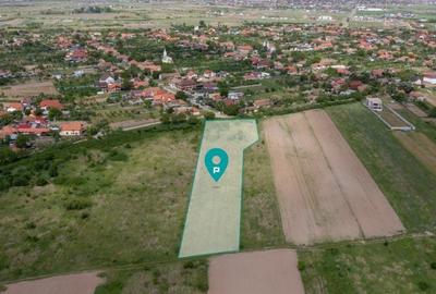 Teren extravilan 5000 mp Urseni, Timiș - 3