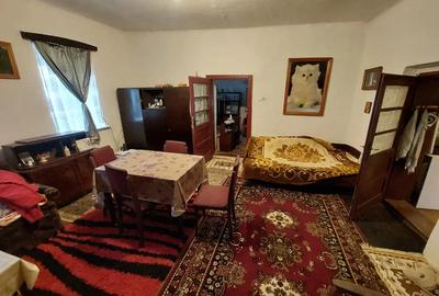 Vand casa batraneasca langa Lugoj - 2