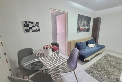 Apartament cu 2 camere nedecomandat în Dâmbu Pietros - 4