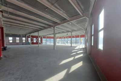 Colentina spatiu stradal 600mp - 2