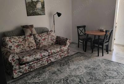 Garsonieră decomandată în Ferdinand - 1