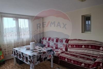 Casa / Vila cu 6 camere de vanzare in zona Calea Severinului - 4