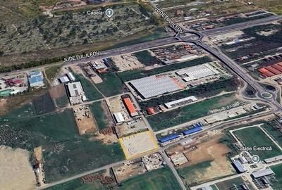 Vanzare teren Domnesti - Centura, ILFOV - 4