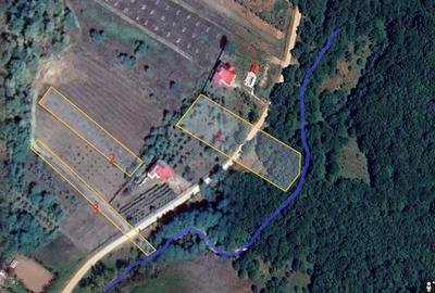 Teren de 3600 mp, în Beleți - 2