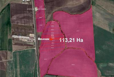 113,21 ha in nordul Aradului, la iesirea de pe drumul expres - 3