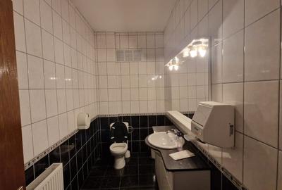 Spatiu comercial, 800mp, Rovine, zona Piata Centrala - 9