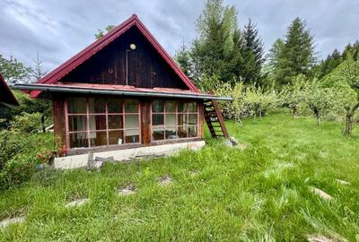 Vila vacanta Cheia - Prahova, pretabila pentru investitie - 51