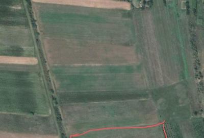 Teren de 4724 mp, în Priseaca - 3
