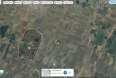 Teren de 1200 mp, în Pogoanele - 1