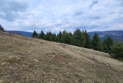 Spațiu comercial, în Lupșa - 7