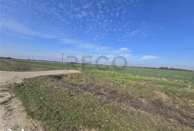 Teren de 5754 mp, în Nojorid - 4