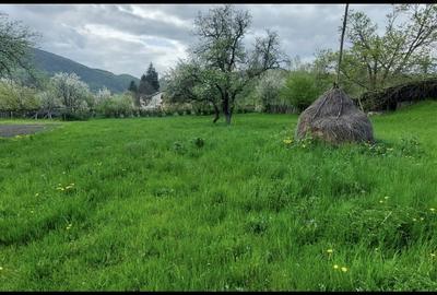 Spațiu comercial, în Central - 3