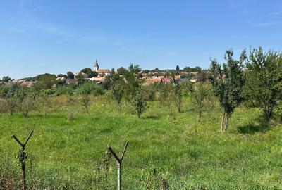 Vand casa singur in curte - P+M - teren 3000 mp - Marpod - 2