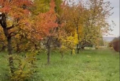 Teren Construcții intravilan de 500 mp, în Podu Iloaiei - 2