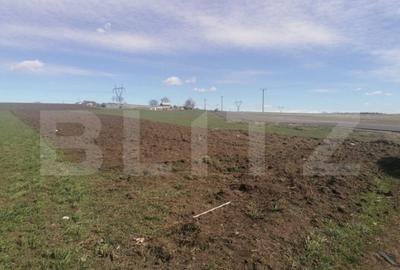 Teren de 7000 mp, în Central - 2