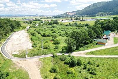 Teren Construcții intravilan de 5500 mp, în Cristian - 24